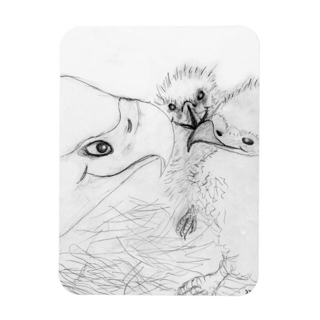 ÍMAN  HARRIET OZZIE M HOME STORY OF FAMILY TREE NOVO PAP (Vertical)