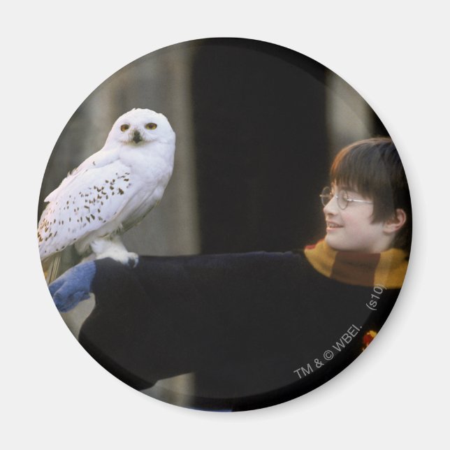 Íman Harry e Hedwig 3 (Frente)