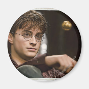 Íman Harry Potter 17