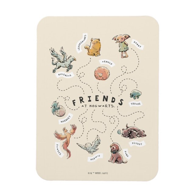 Íman HARRY POTTER™ | Amigos de Hogwarts (Vertical)