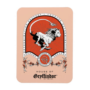 Íman HARRY POTTER™   Desenho delicado GRYFFINDOR™ Crest