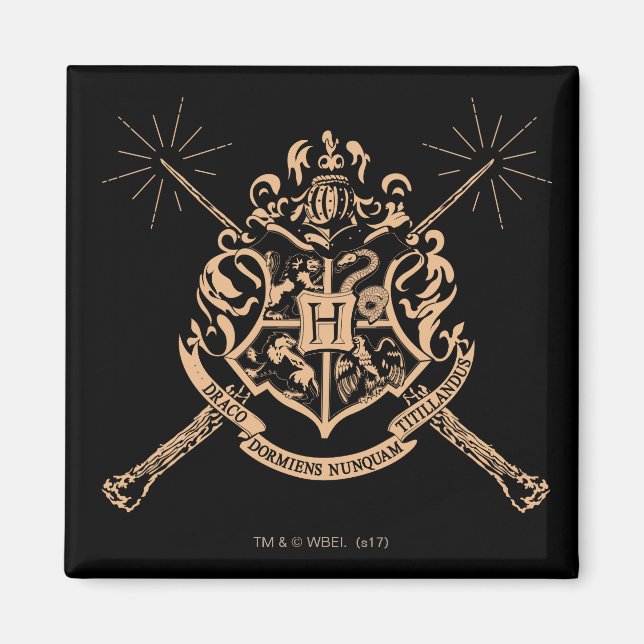 Íman Harry Potter | Hogwarts Crest (Frente)