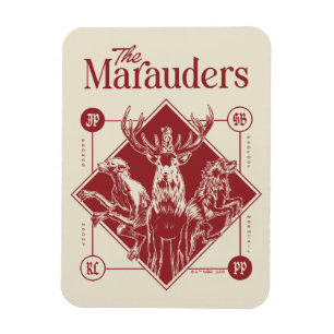 Íman HARRY POTTER™ O Gráfico Marauders Animagus