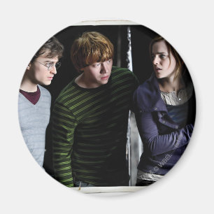 Íman Harry, Ron e Hermione 4