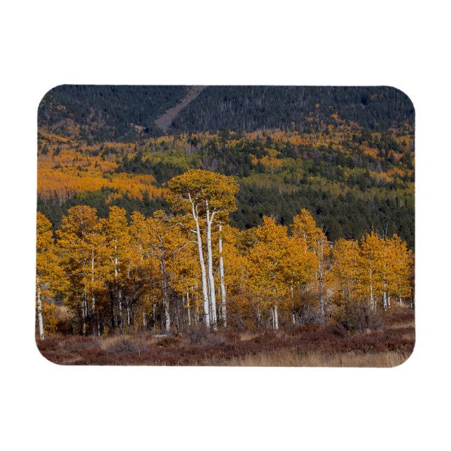 Íman Hart Prairie (Horizontal)