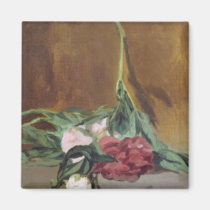 Íman Haste de Manet   das peônias e dos Secateurs,