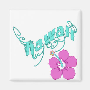 Íman Havaí com produtos do hibiscus