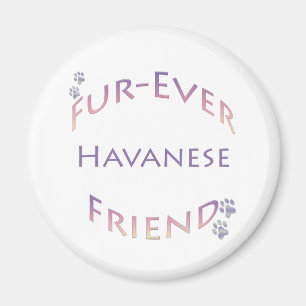 Íman Havanese Fuore