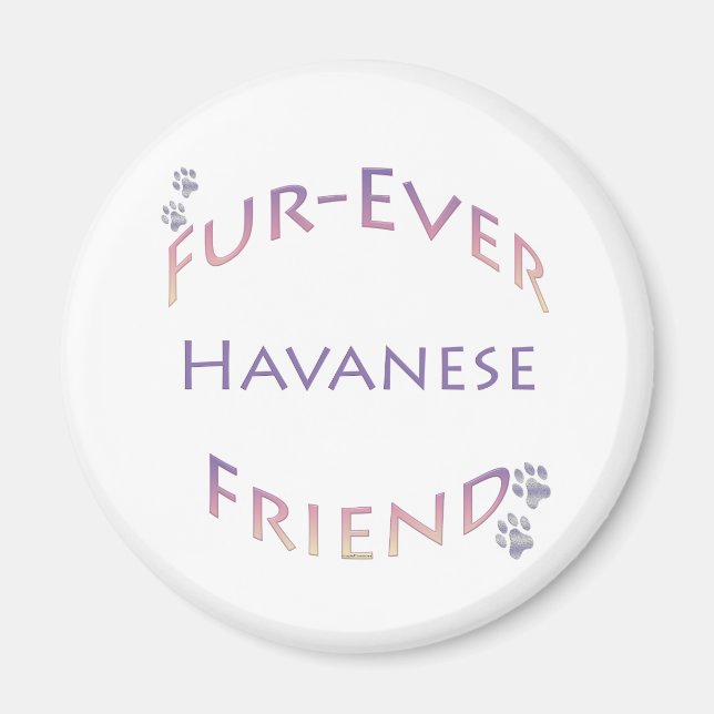 Íman Havanese Fuore (Frente)