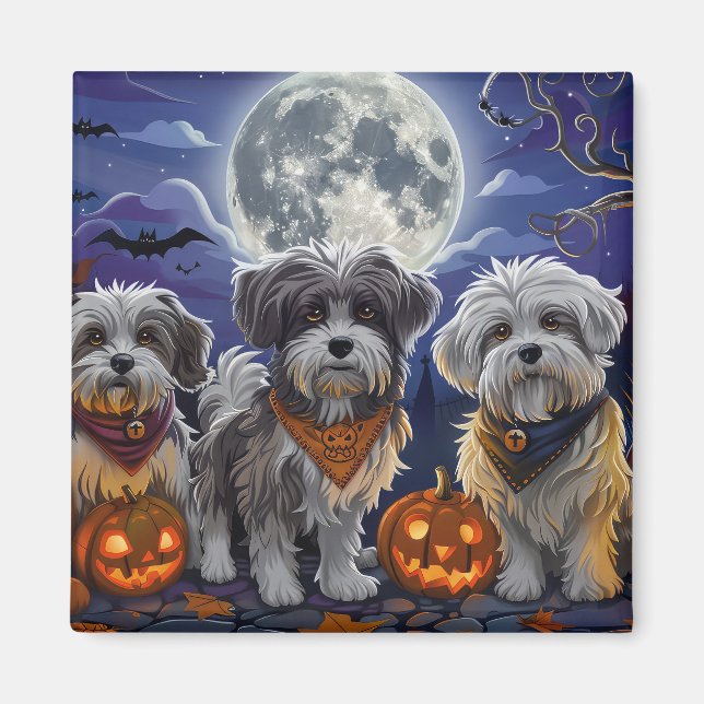 Íman Havanese Halloween Spooky (Frente)