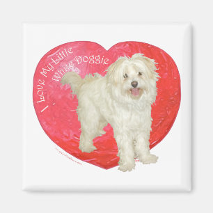 Íman Havanese / Westie Mistura Dia dos Namorados