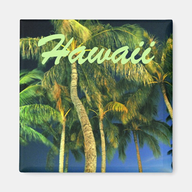 Íman Hawaii Palm Tree Magnet (Frente)