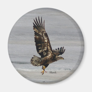 Íman Hawk