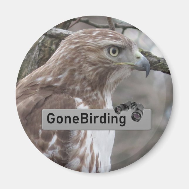 Íman Hawk Birding de cauda vermelha (Frente)
