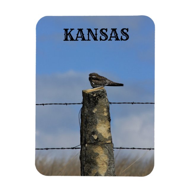 Íman Hawk noturno dormindo em um imã Poste (Vertical)