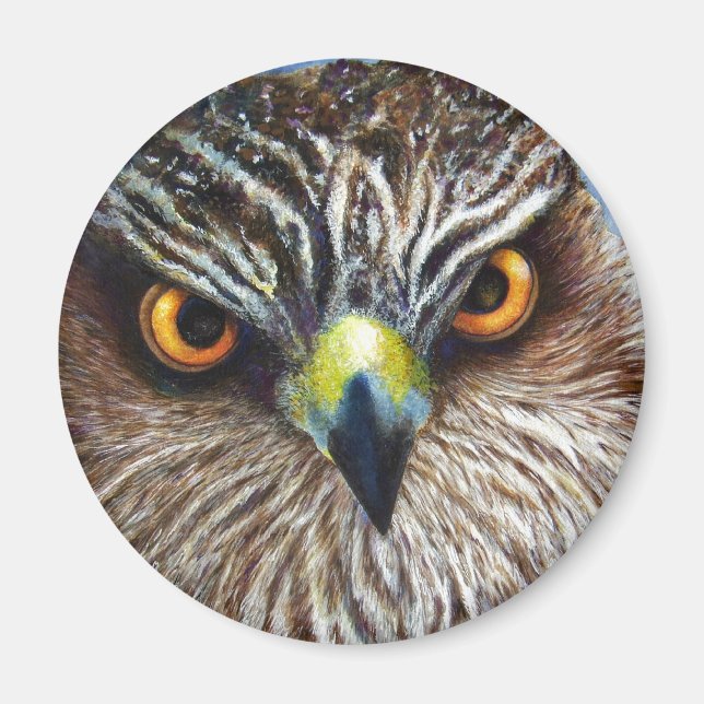 Íman Hawkeyes (Frente)