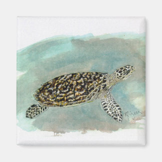 Íman Hawksbill Sea Turtle
