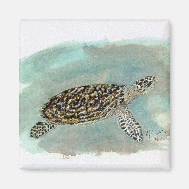 Íman Hawksbill Sea Turtle (Frente)