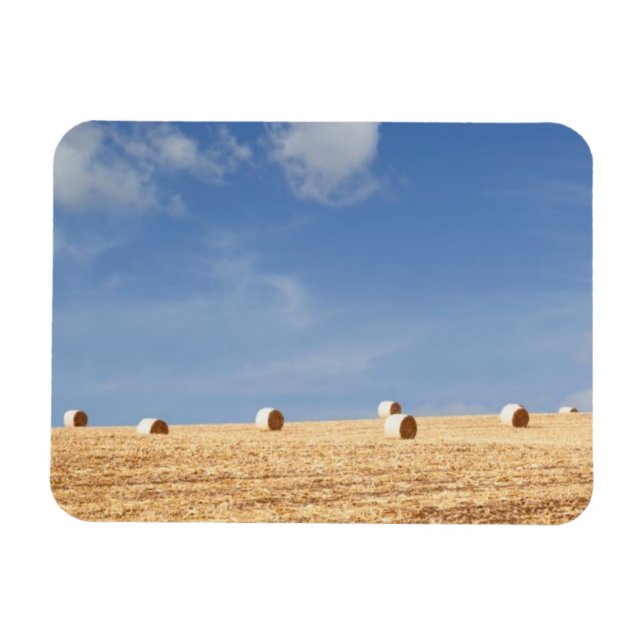 Íman Hay Balança no Campo (Horizontal)