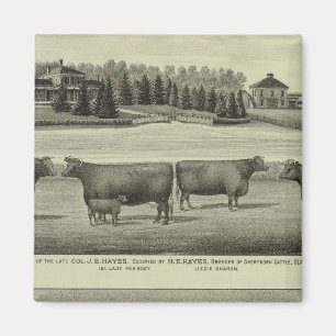 Íman Hayes, Olathe e Ellis Residence e Fazenda