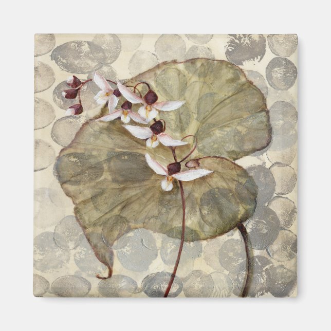 Íman HAZ24 Amazônia 2.tif (Frente)