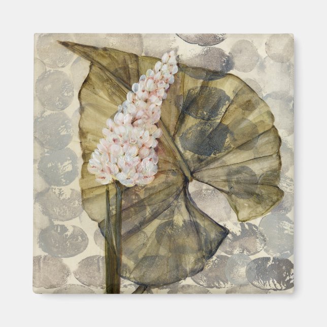 Íman HAZ25 Amazônia 3.tif (Frente)