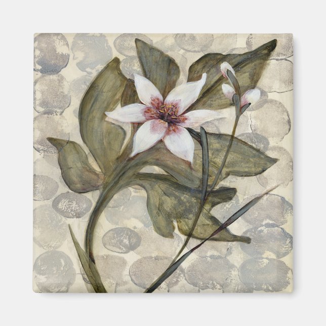 Íman HAZ26 Amazônia 4.tif (Frente)