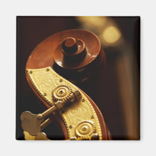 Íman Headstock 2 do contrabaixo