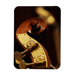 Íman Headstock 2 do contrabaixo