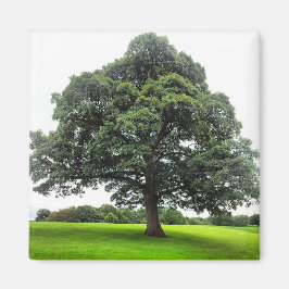 Íman Heaton Park Magnet