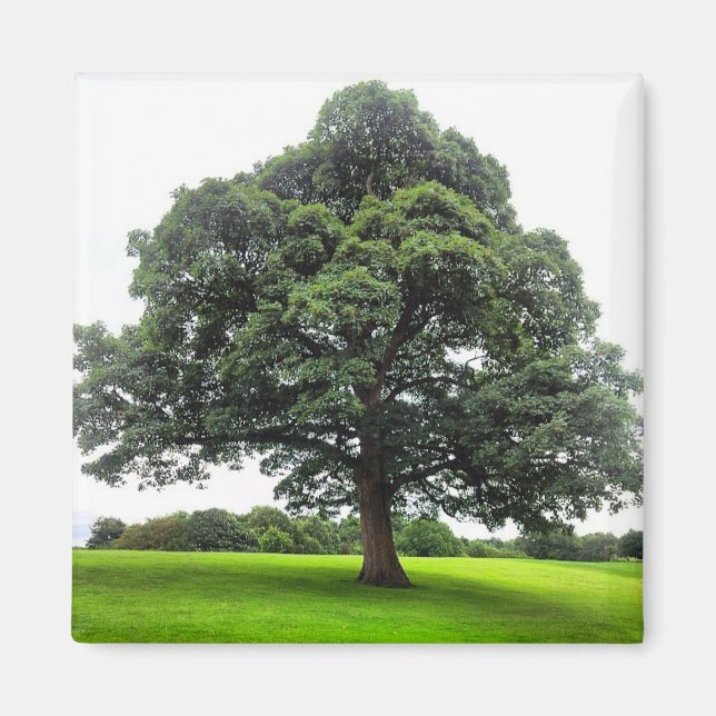 Íman Heaton Park Magnet (Frente)