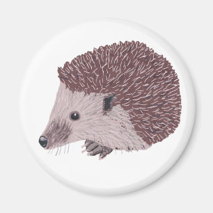 Íman Hedgehog