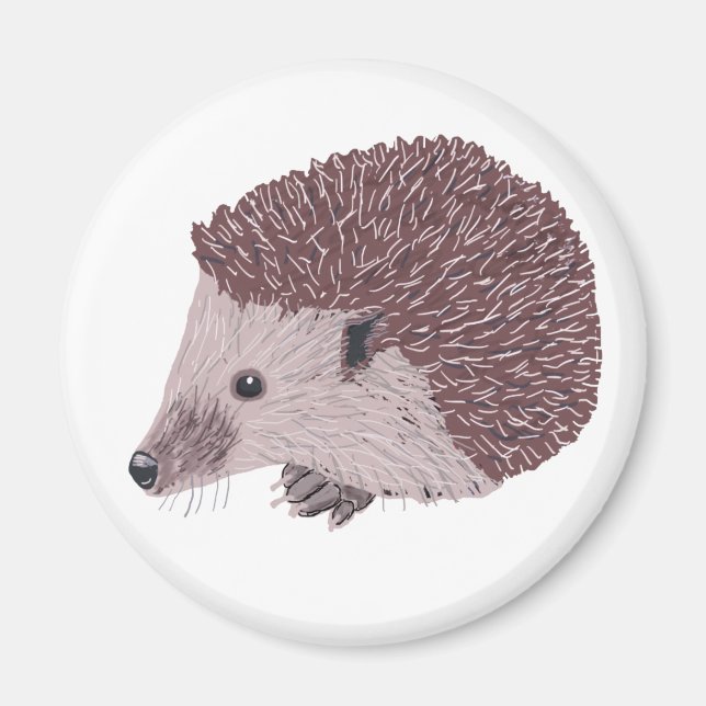 Íman Hedgehog (Frente)