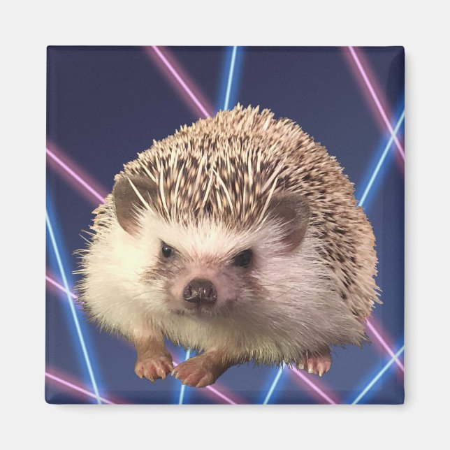 Íman Hedgehog - Imagem Laser em Segundo Plano (Frente)