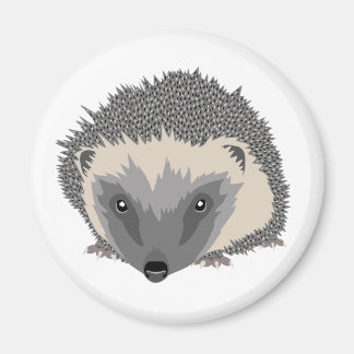 Íman Hedgehog Magnet