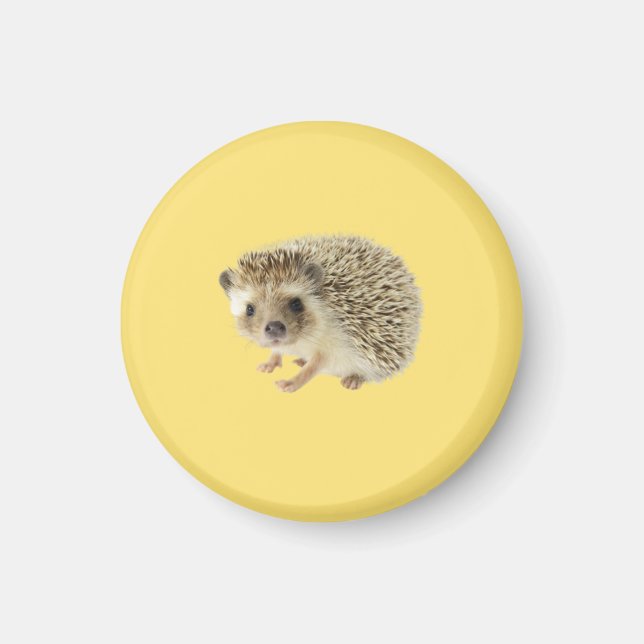 Íman Hedgehog Magnet (Frente)