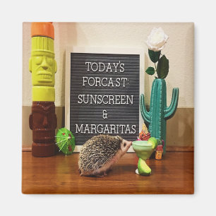 Íman Hedgehog Sunscreen e Margaritas