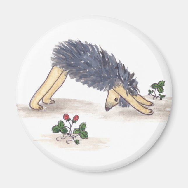 Íman Hedgehog Yoga (Frente)