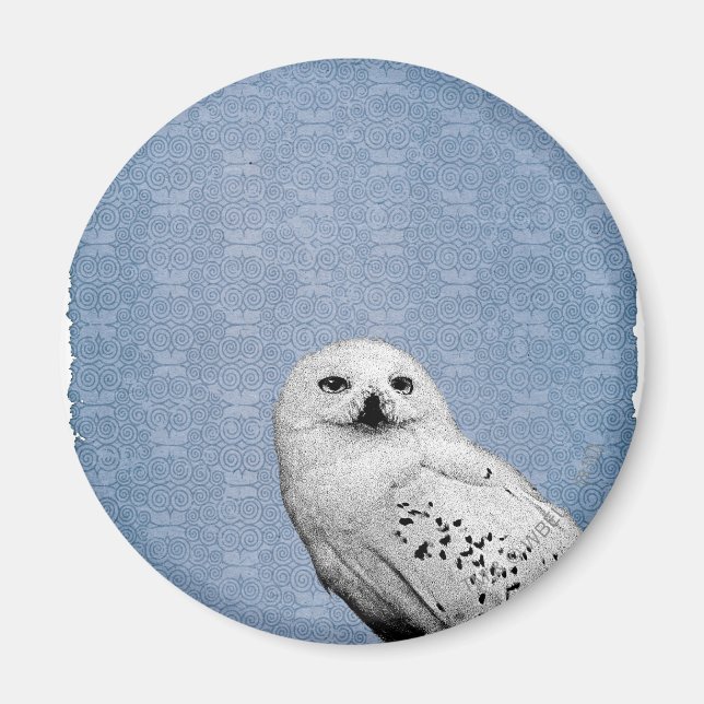 Íman Hedwig 2 (Frente)
