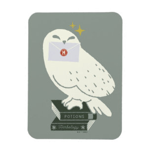 Íman Hedwig Com Desenho Caprichoso de Carta