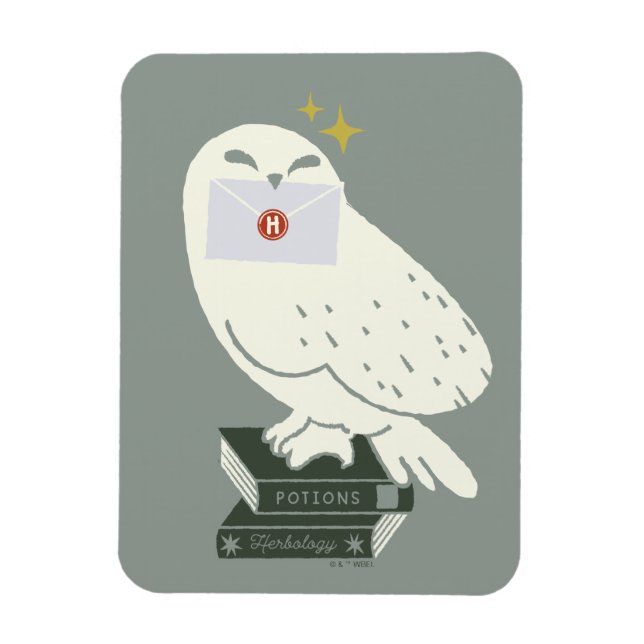 Íman Hedwig Com Desenho Caprichoso de Carta (Vertical)