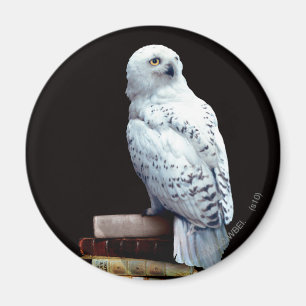 Íman Hedwig nos livros