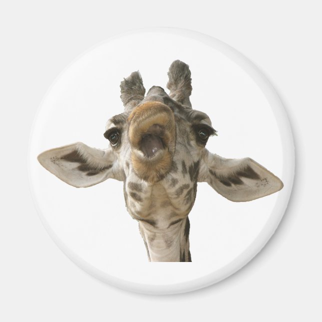 Íman Helaine's Goofy Giraffe (Frente)