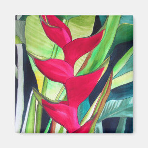 Íman Heliconia Lobster Claw tropical watercolour flower