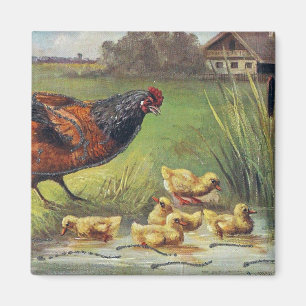 Íman Hen e Ducklings