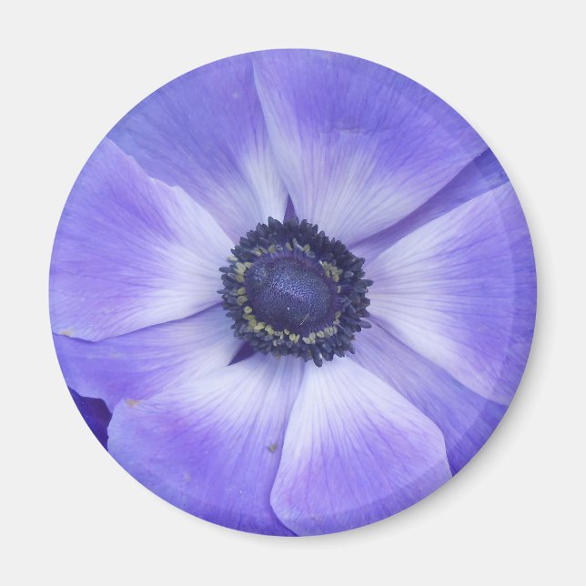 Íman Henrietta (Frente)