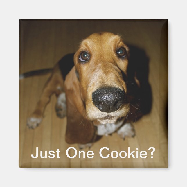 Íman Henry Longfellow (Frente)