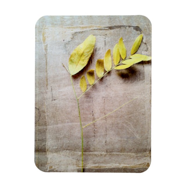 Íman Herbário V (Vertical)