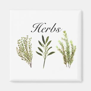 Íman Herbos Por Aquarelas Thyme Rosemary Sage Plant Pot