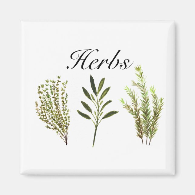 Íman Herbos Por Aquarelas Thyme Rosemary Sage Plant Pot (Frente)